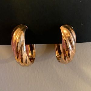 Bronze Italia Bold Oval Hoop Earrings